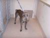 Mercer A054687